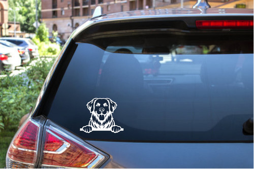 Custom peekaboo decal - peekaboo,