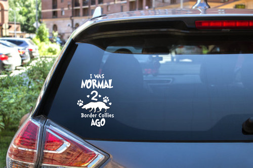 Border collie vinyl sticker - vinyl,