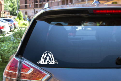 Peekaboo bearded collie vinyl - bearded,