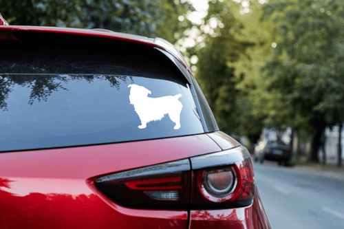 Custom glen imaal terrier - custom,