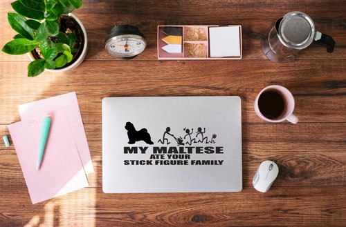 Maltese fun dog ate - my,