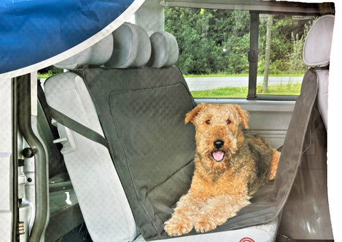 Rear heated dog puppy car - heated,