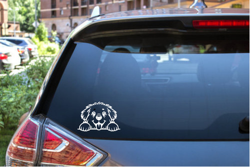 Custom peekaboo newfoundland - custom,
